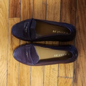 Women's Coach Penny Loafers